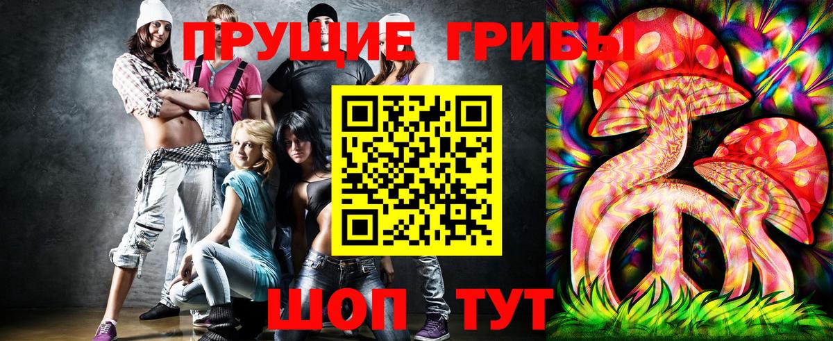 Псилоцибиновые грибы Cubensis  Вход с VPN  Чехов 